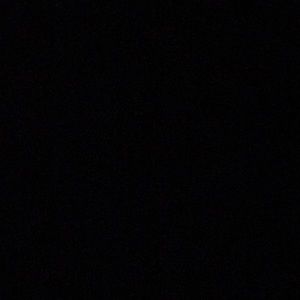 Meet your Posher, Bryant